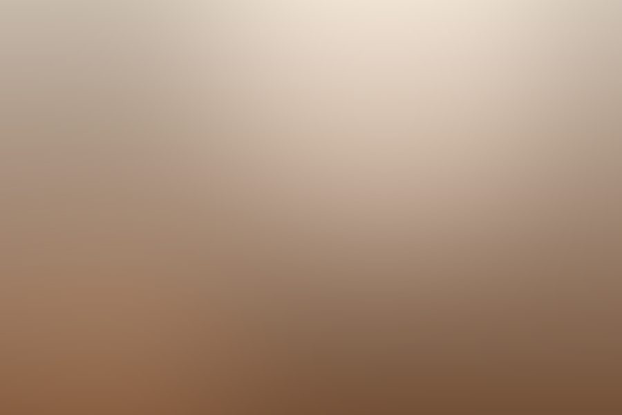 منتجات ليتشي فودز