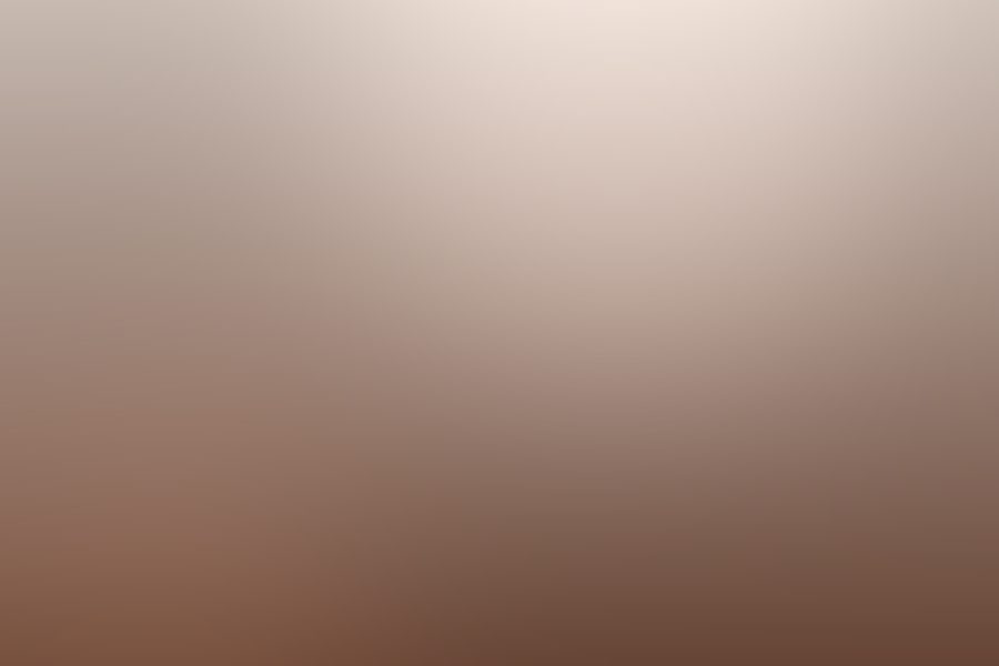 بوكس لانش المدرسة